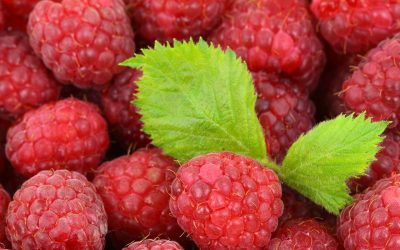 Raspberry Horseradish Maple Sauce