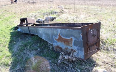 Maple Syrup — Summer Maintenance