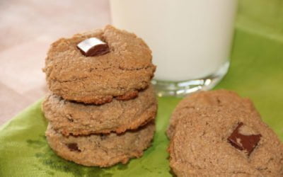 Maple Protein Cookies