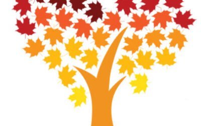 Fall in Love with Maple Tours